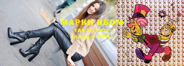 сатива Белокуриха