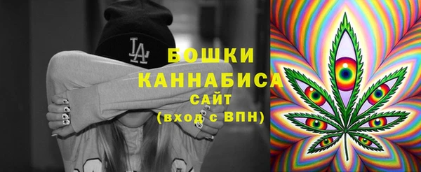 сатива Белокуриха