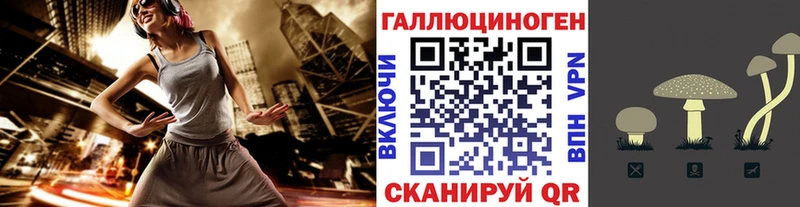 Псилоцибиновые грибы мицелий  закладки  Богданович 