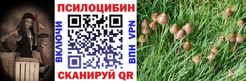 Галлюциногенные грибы MAGIC MUSHROOMS Богданович