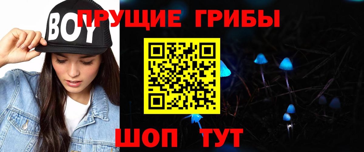 Богданович  Псилоцибиновые грибы GOLDEN TEACHER  закладка  Вход с VPN  Галлюциногенные грибы MAGIC MUSHROOMS 